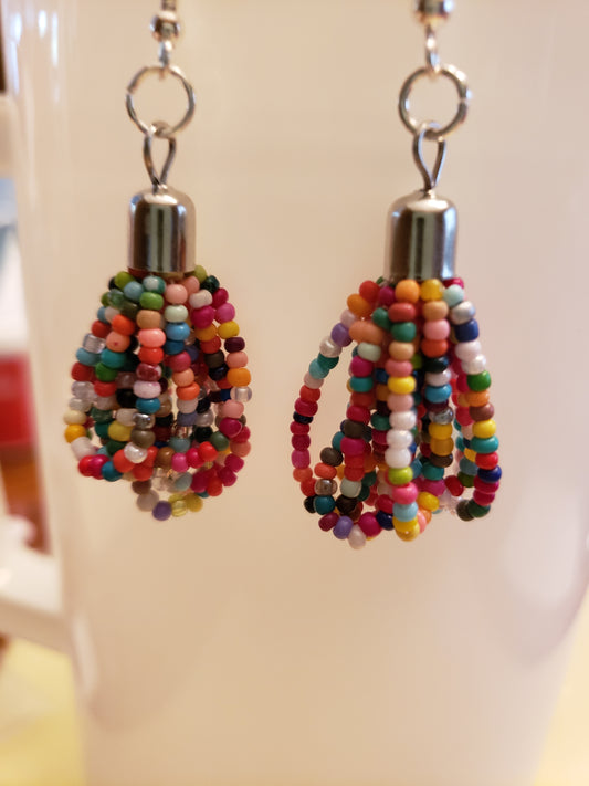 170E Multi-colored Earrings